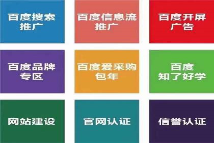 SEM推广实战：案例解析与策略探讨